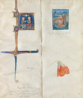 Phoebe Anna Traquair HRSA - Two illuminations - After French 13th Century; and Flemish, St. John on Patmos