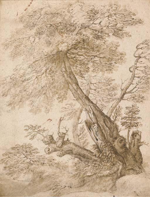 Pier Francesco Cittadini - Un arbre dans un paysage