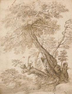 Pier Francesco Cittadini - Un arbre dans un paysage