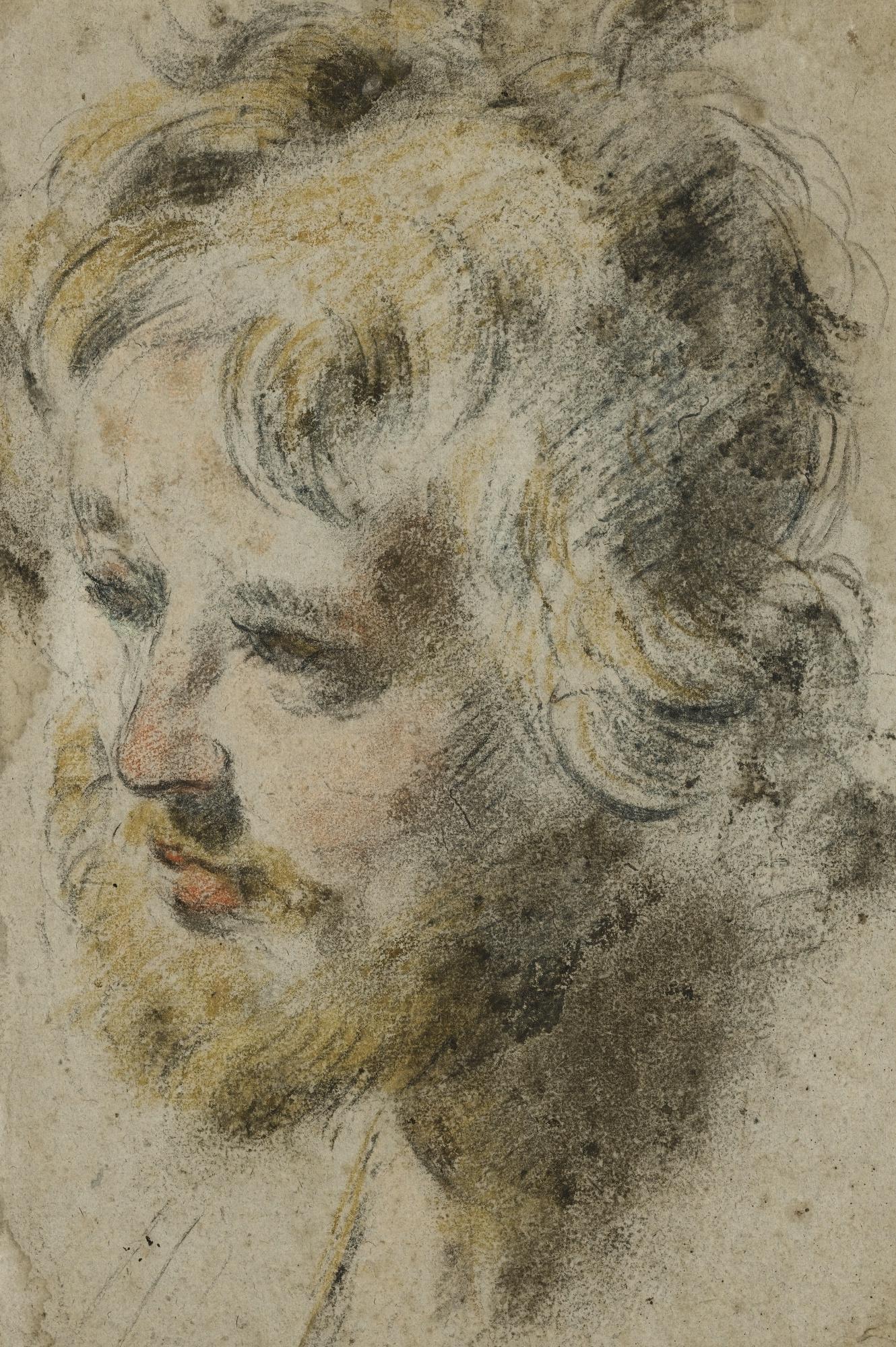 Pier Francesco Mola - Study Of A Male Head