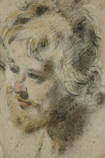 Pier Francesco Mola - Study Of A Male Head