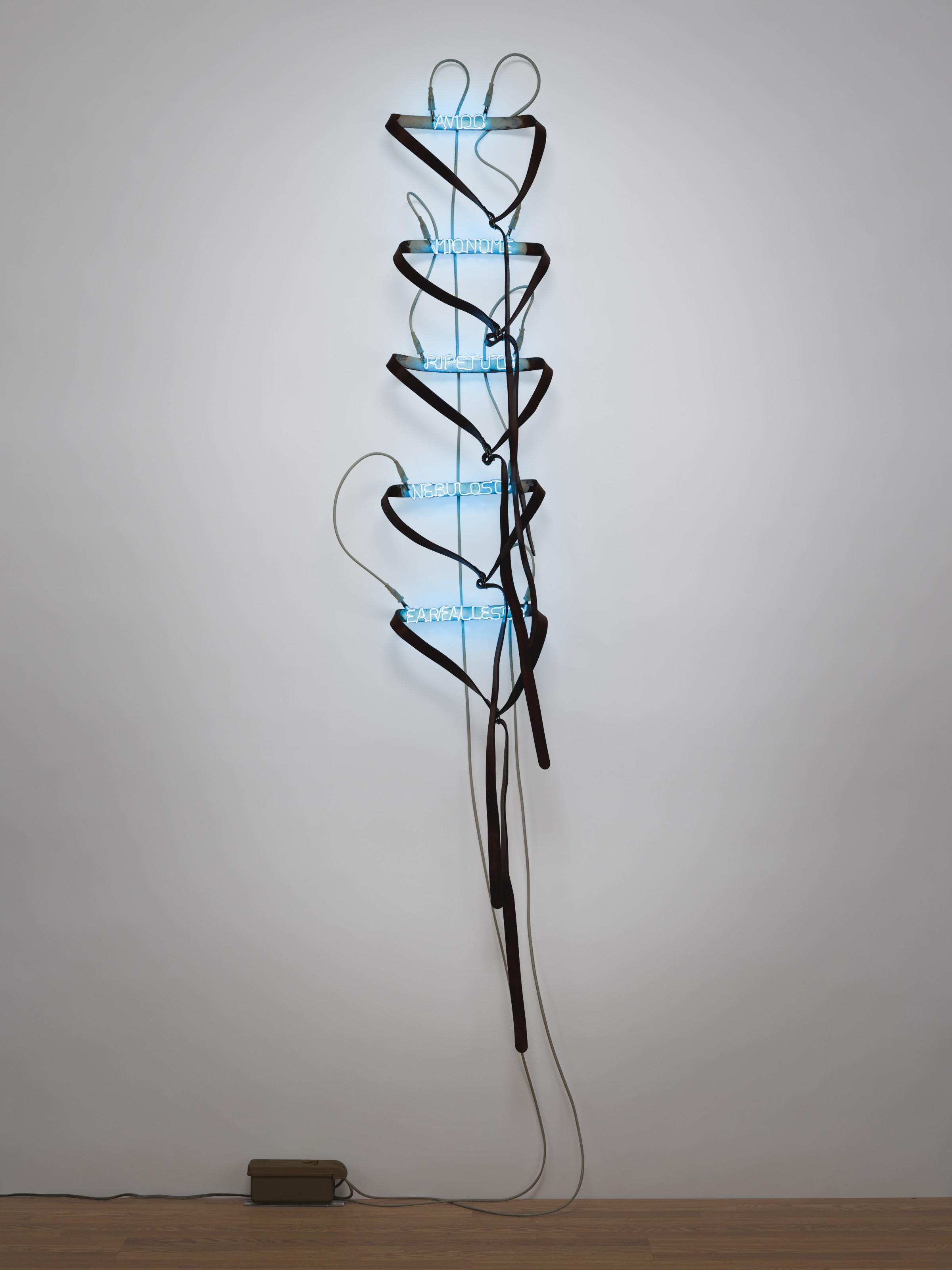 Pier Paolo Calzolari - Cinghie [avido, mio nome, ripetuto, nebuloso, farfallesco]