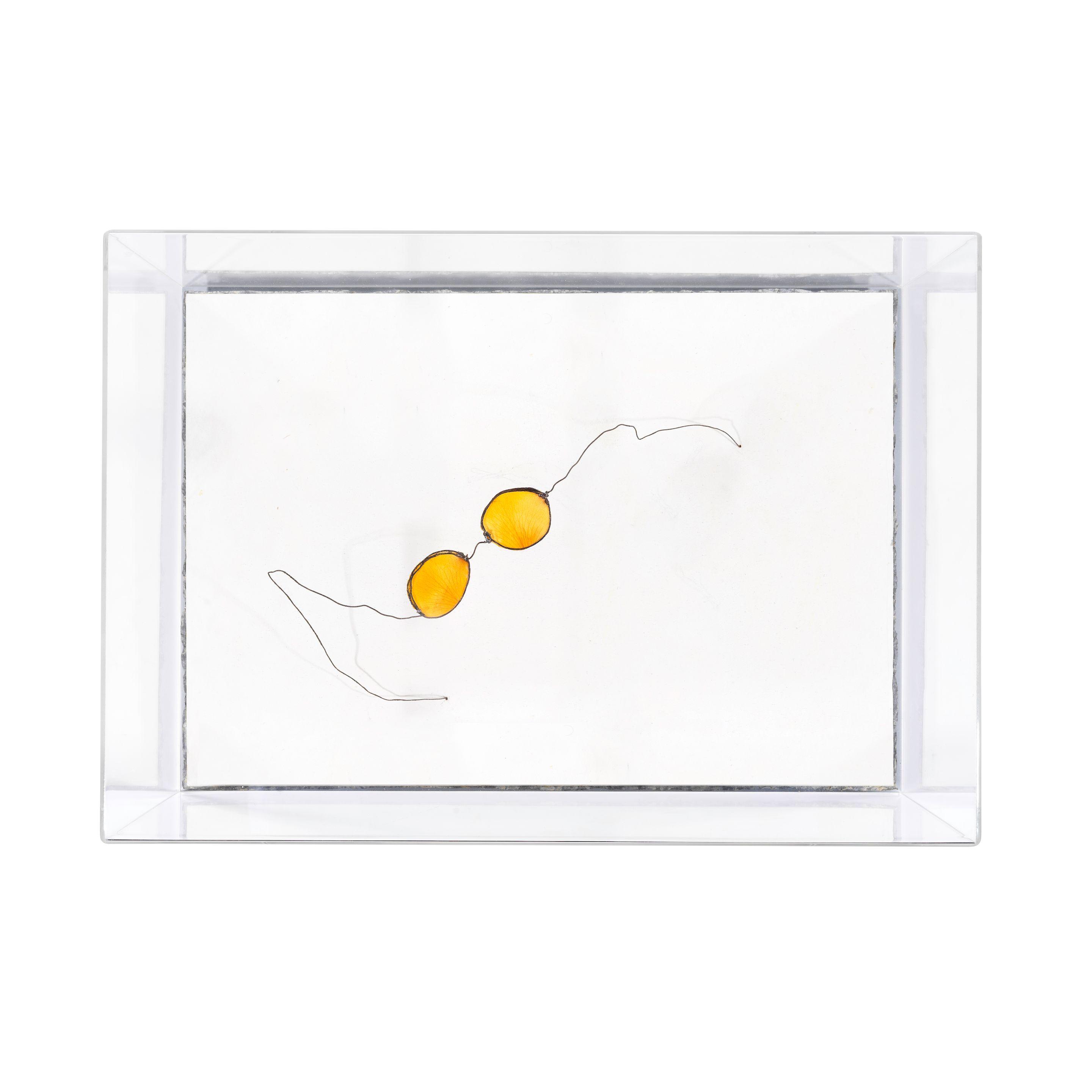 Pier Paolo Calzolari - Occhiali