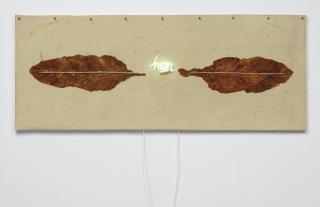 Pier Paolo Calzolari - Sans Titreneon And Tobacco Leaves On Felt. Executed In 1973.