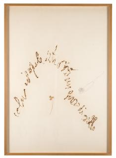 Pier Paolo Calzolari - Senza titolo (Colui il quale ritrovò un ferro di cavallo)