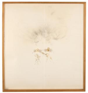 Pier Paolo Calzolari - Senza titolo