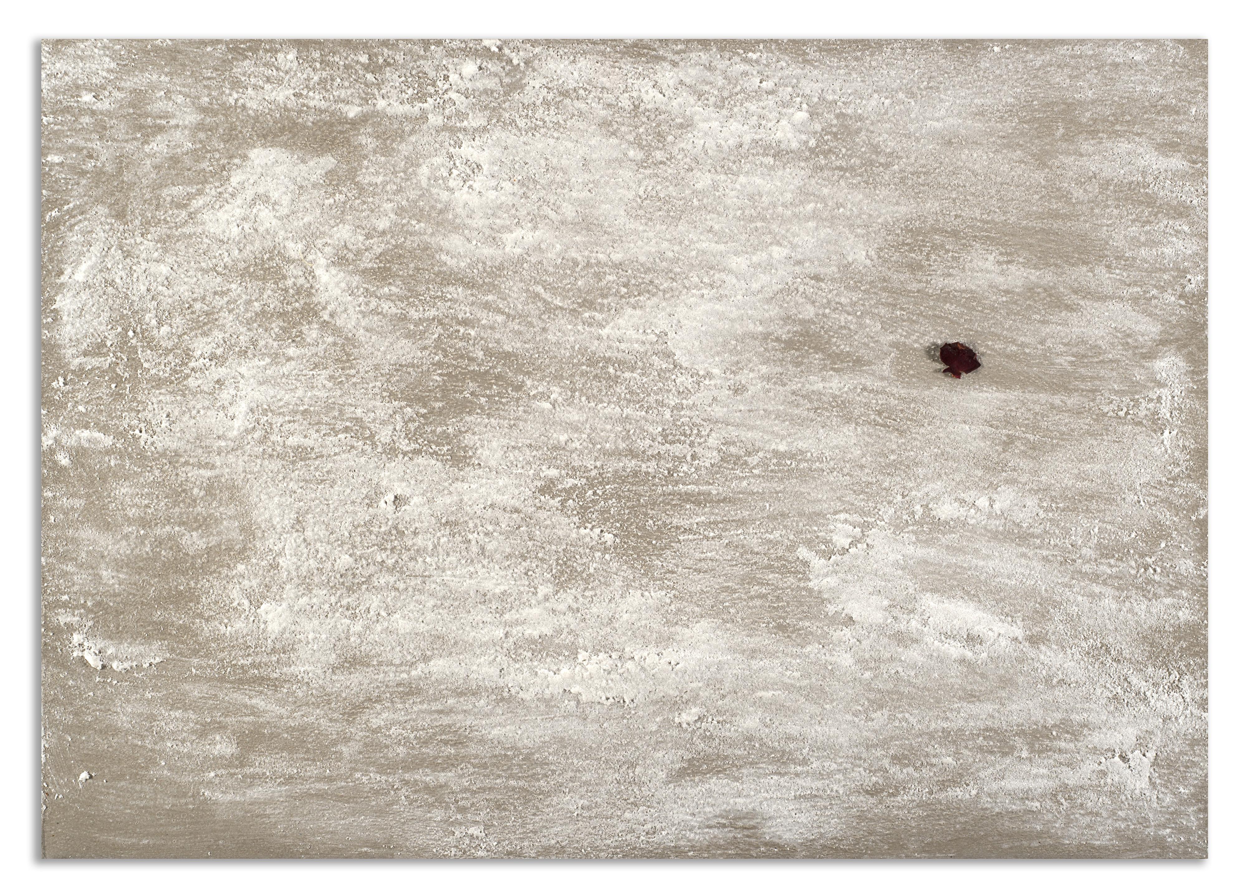 Pier Paolo Calzolari - Senza titolo