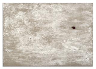 Pier Paolo Calzolari - Senza titolo