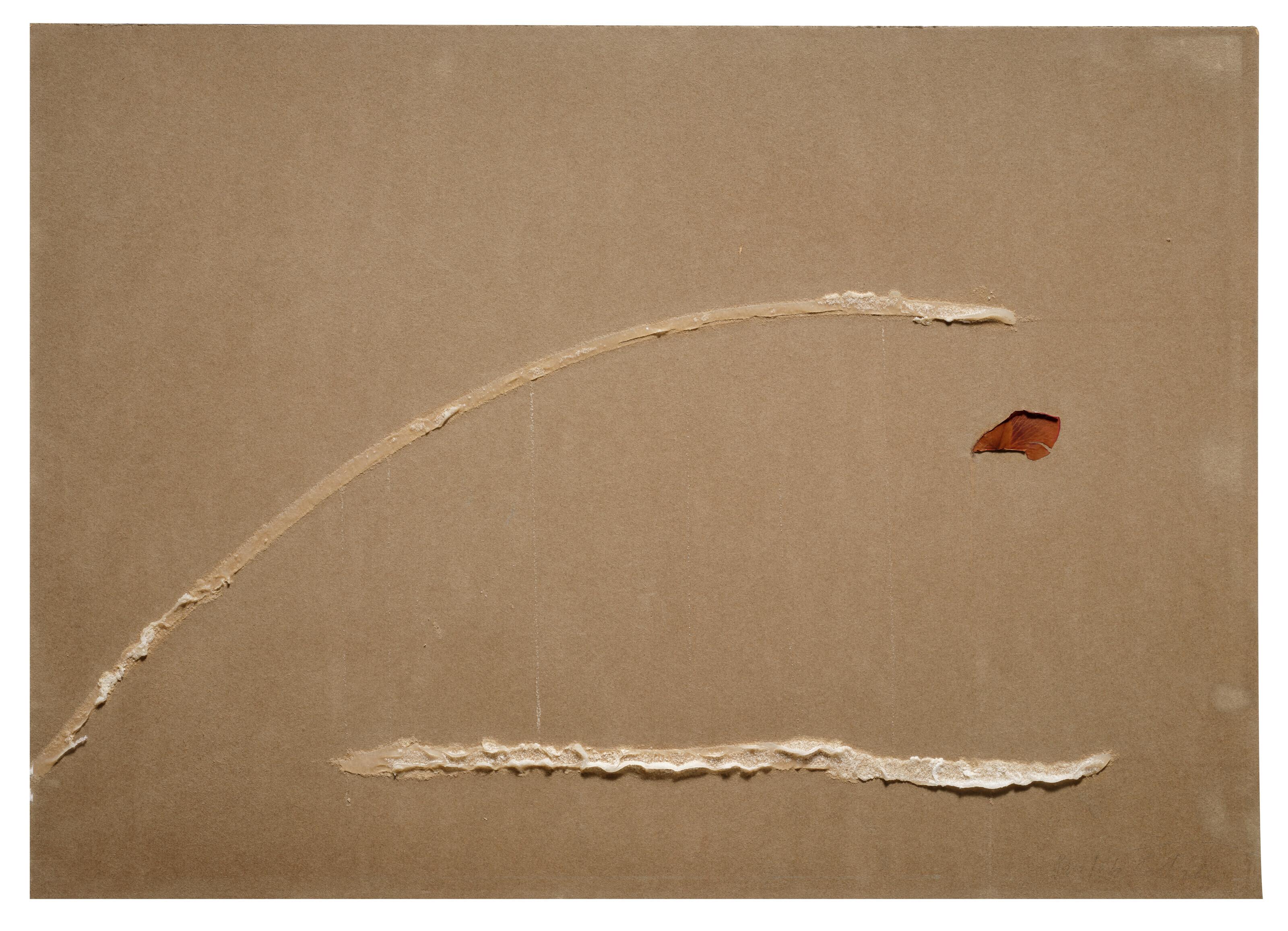 Pier Paolo Calzolari - Senza titolo