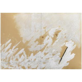 Pier Paolo Calzolari - Senza Titolo