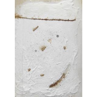 Pier Paolo Calzolari - Senza Titolo