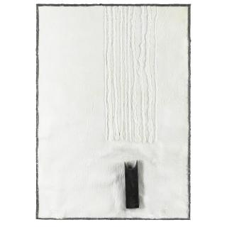 Pier Paolo Calzolari - Senza Titolo