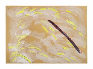 Pier Paolo Calzolari - Senza Titolo