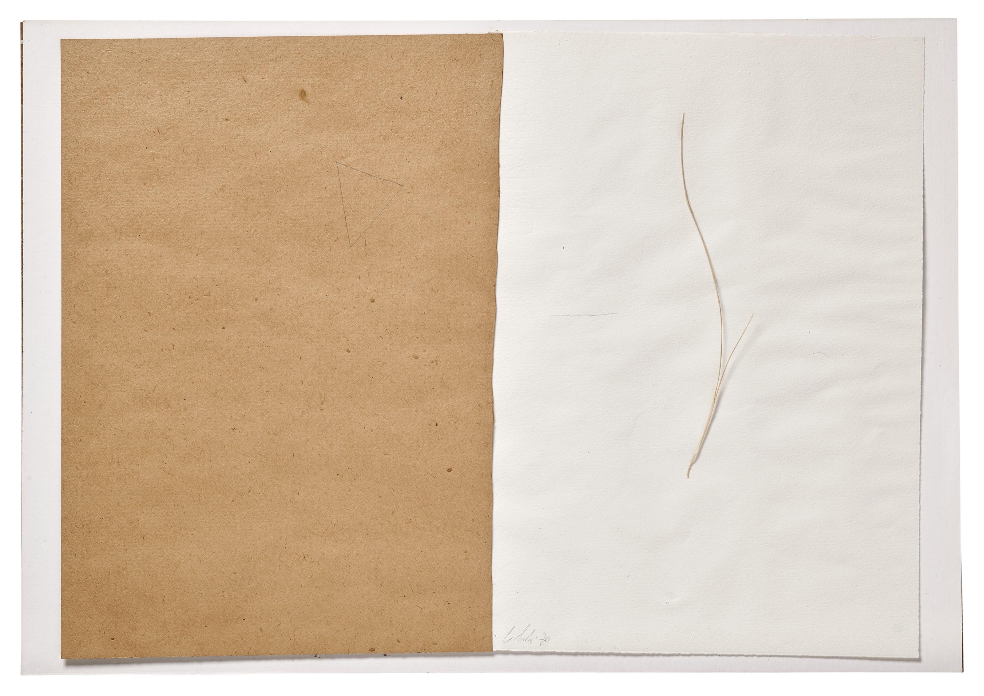 Pier Paolo Calzolari - Senza titolo