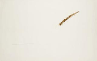 Pier Paolo Calzolari - Senza titolo