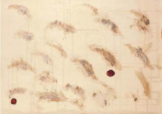 Pier Paolo Calzolari - Senza Titolo