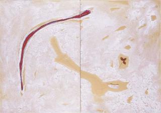 Pier Paolo Calzolari - Senza titolo