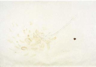 Pier Paolo Calzolari - Senza titolo