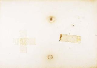 Pier Paolo Calzolari - Senza titolo