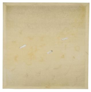 Pier Paolo Calzolari - Untitled