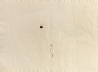 Pier Paolo Calzolari - Untitled