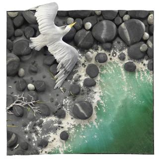 Piero Gilardi - Bagnasciuga