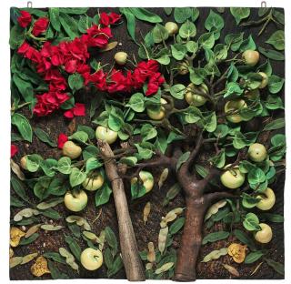 Piero Gilardi - Bungavillea e mele