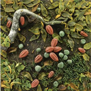 Piero Gilardi - Cacao