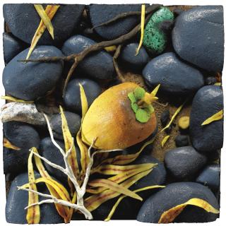 Piero Gilardi - Cocco Caduto