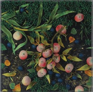 Piero Gilardi - Pesche e susine