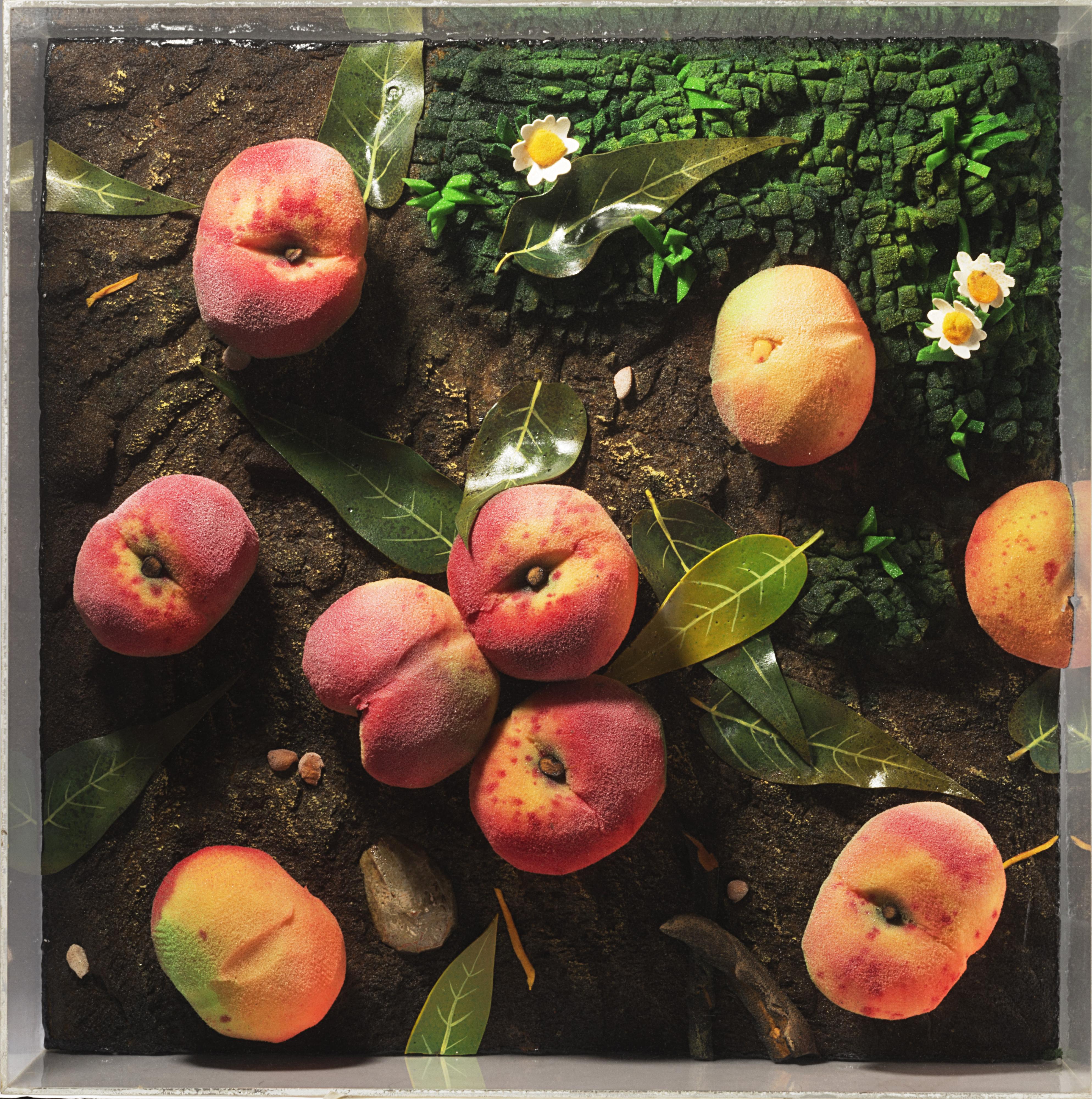 Piero Gilardi - Pesche