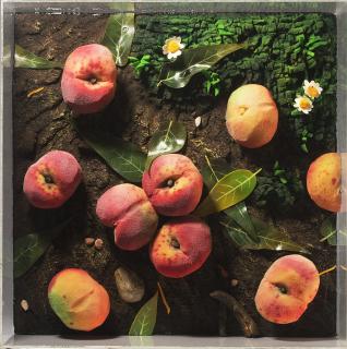 Piero Gilardi - Pesche