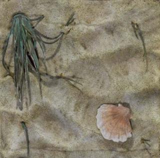 Piero Gilardi - Senza titolo