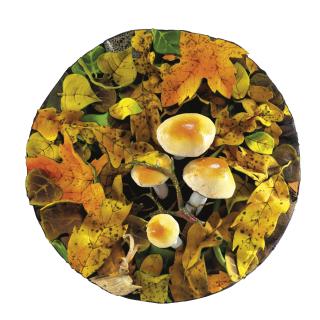 Piero Gilardi - Sottobosco