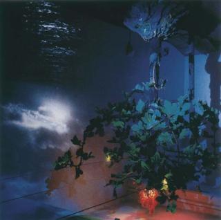 Piero Gilardi - Vitigno Danzante