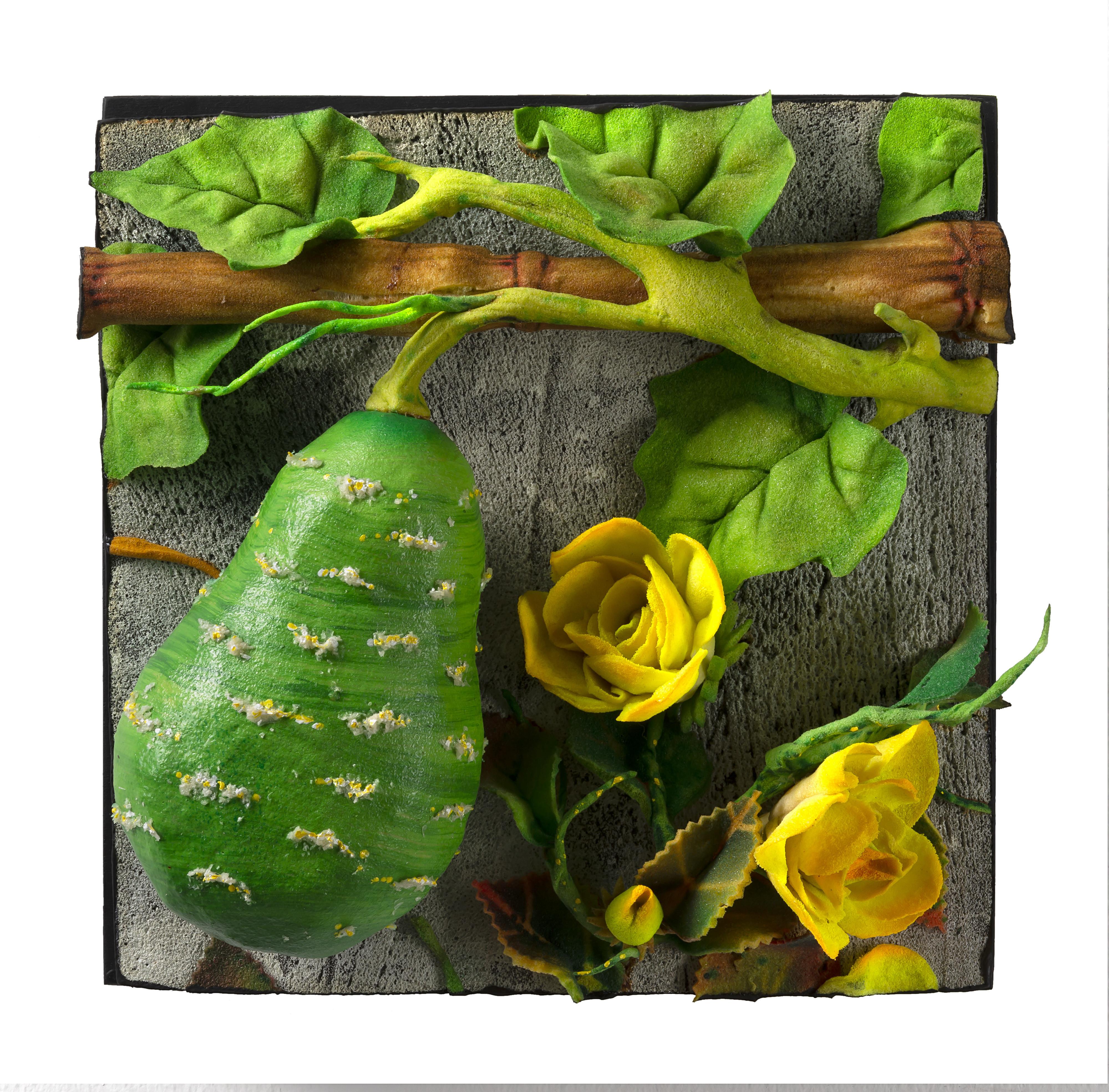 Piero Gilardi - Zucca e rose