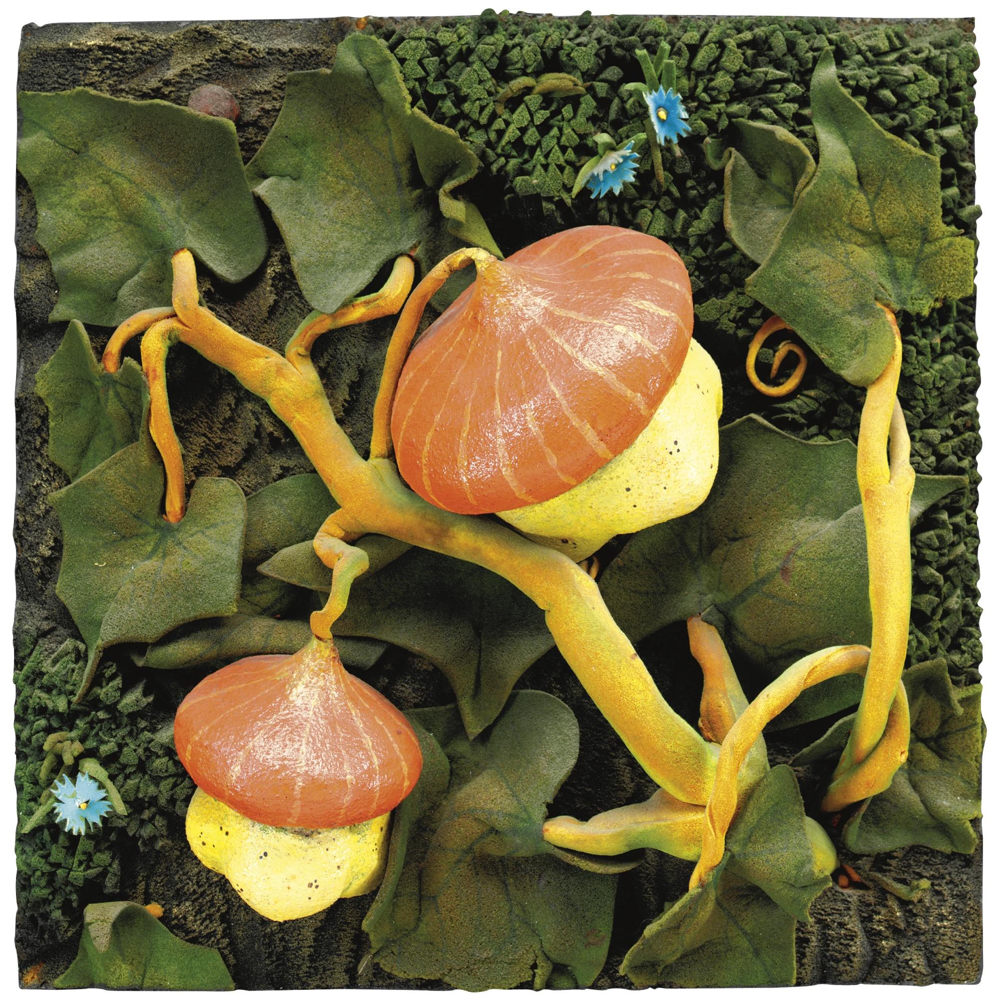 Piero Gilardi - Zucche