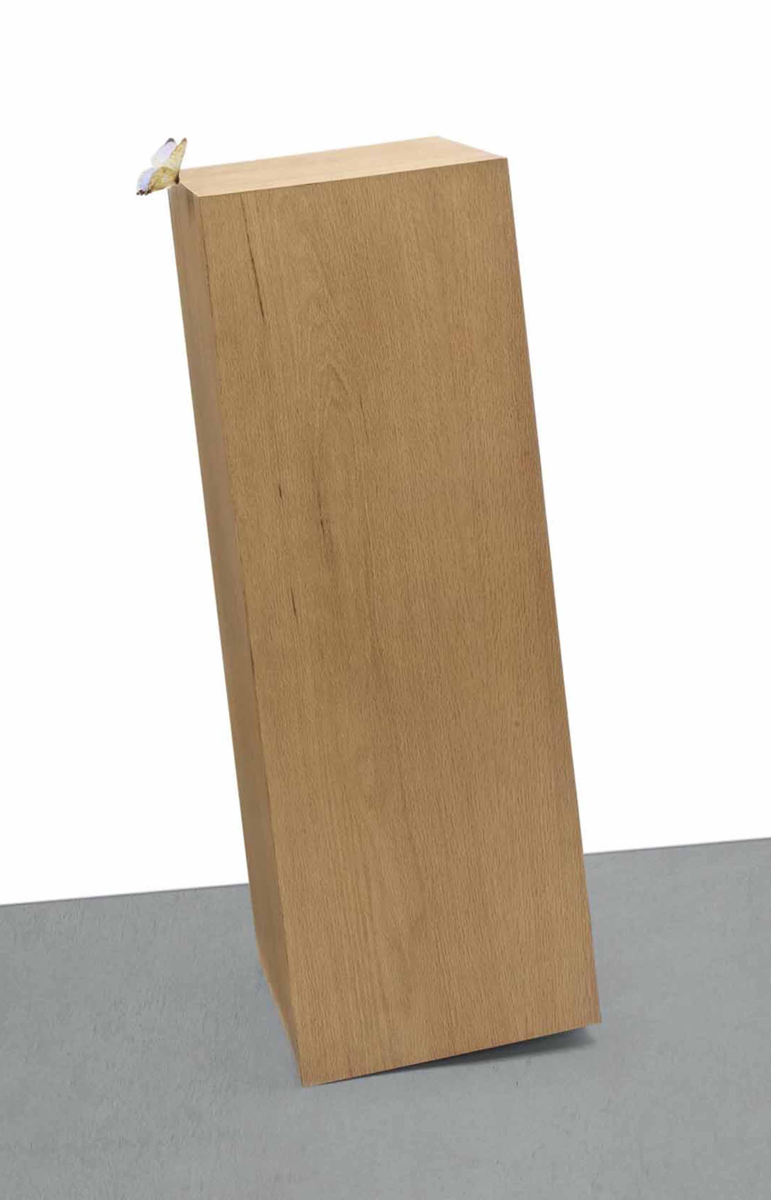 Piero Golia - Untitled (12 Degrees From The Ground)