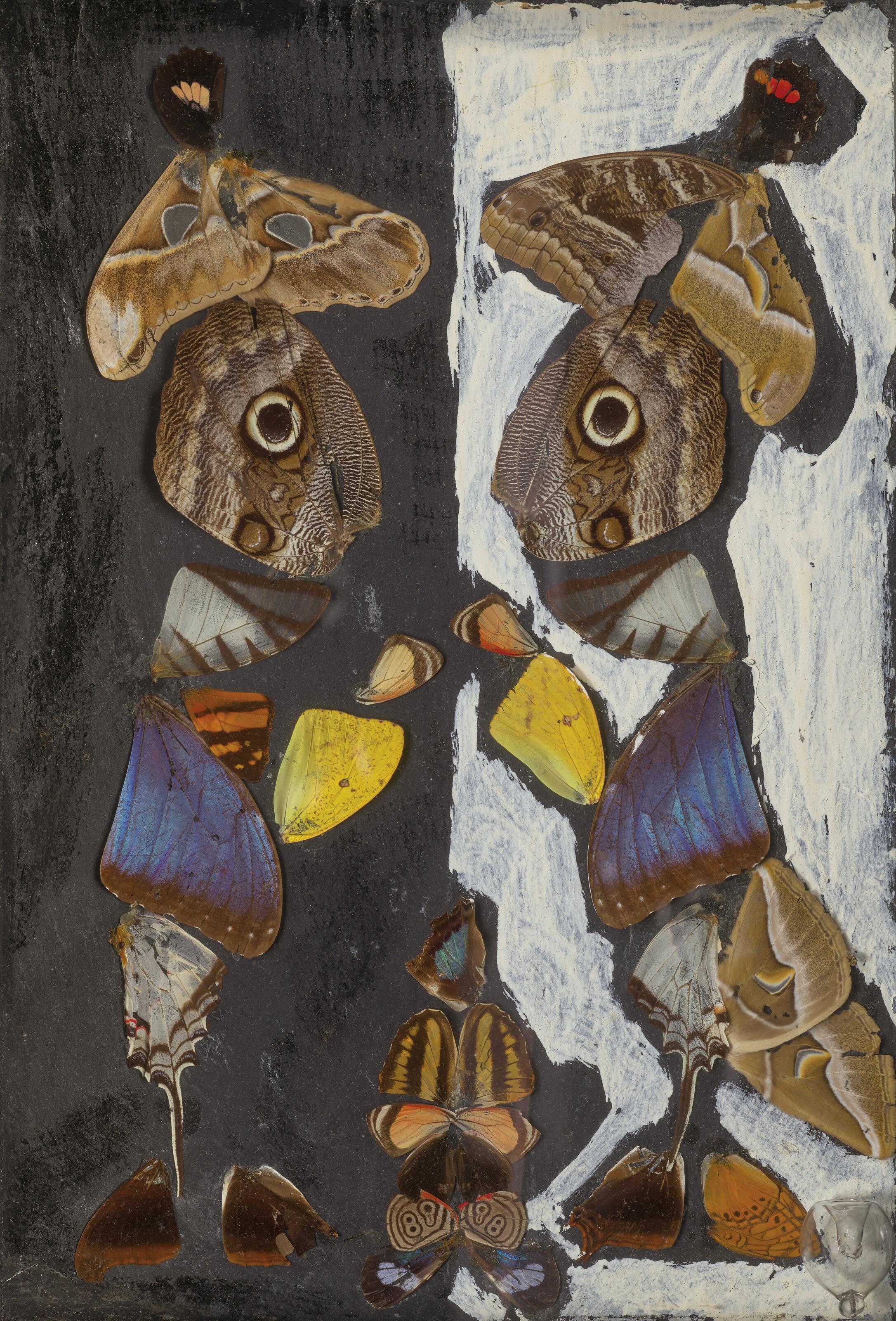 Pierre Bettencourt - Narcisse