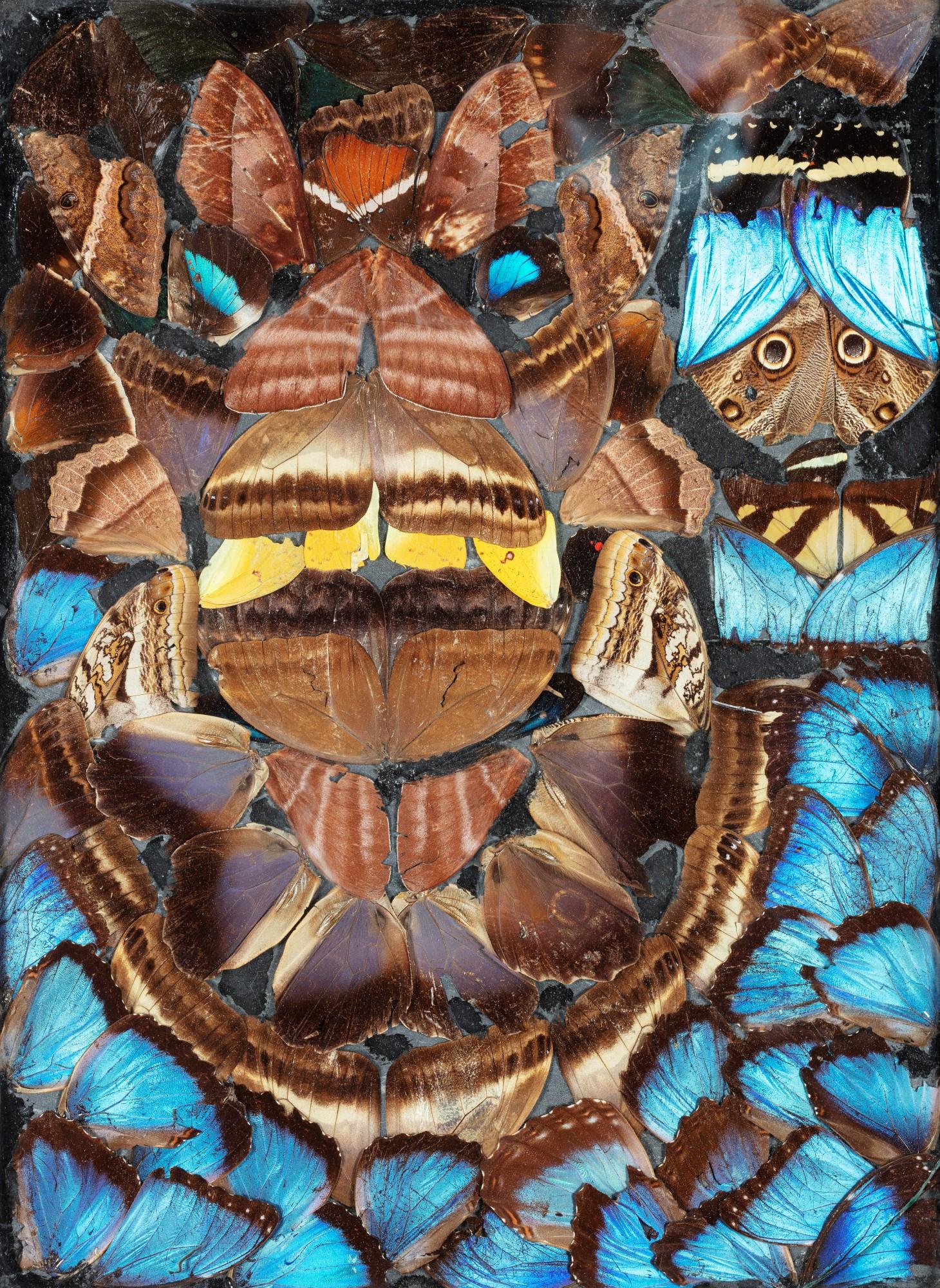 Pierre Bettencourt - Untitled