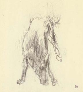 Pierre Bonnard - Etude pour \'Dingo\'