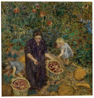 Pierre Bonnard - La Cueillette Des Fruits