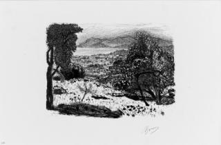 Pierre Bonnard - Paysage du Midi
