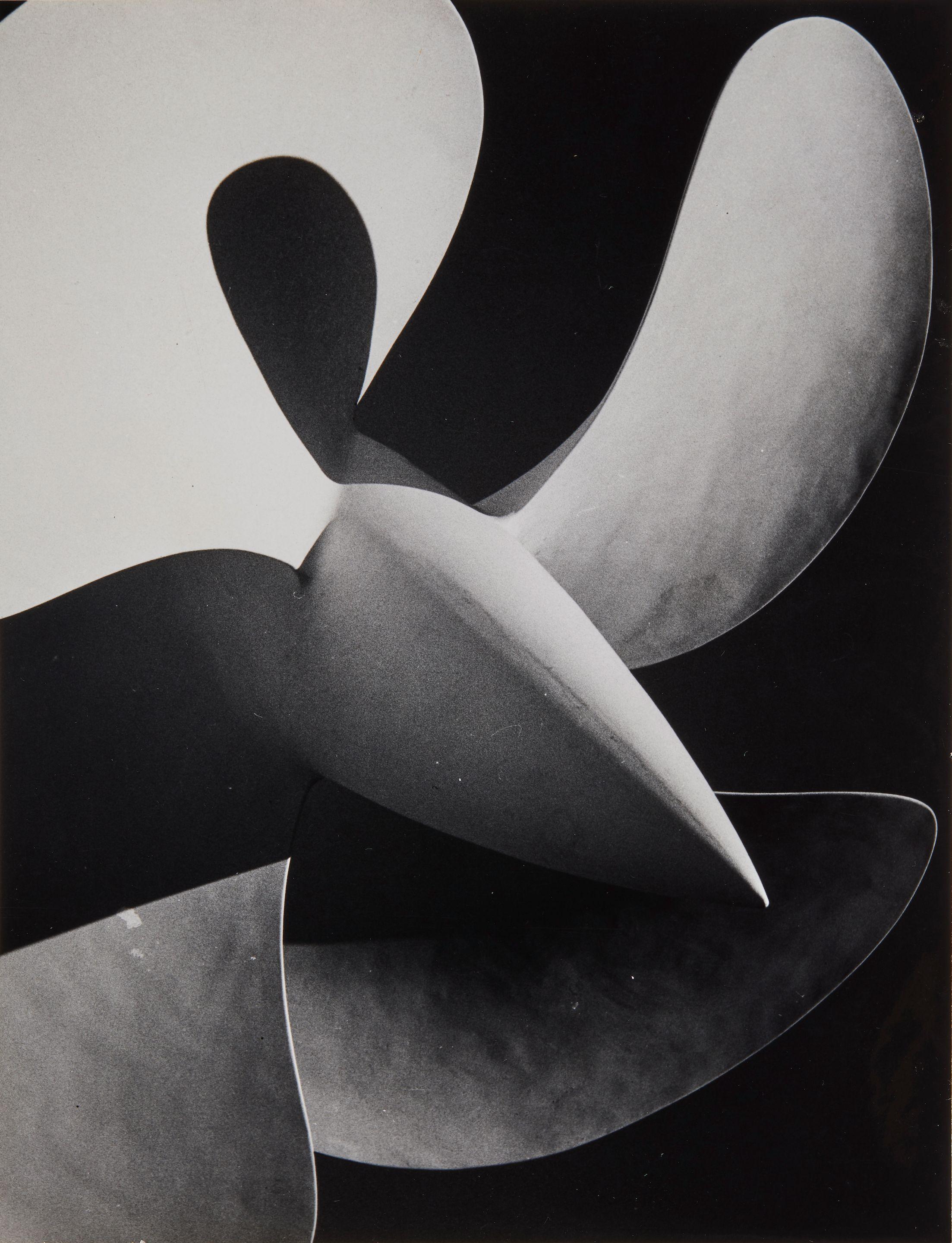 Pierre Boucher - Untitled (Propeller of the SS \