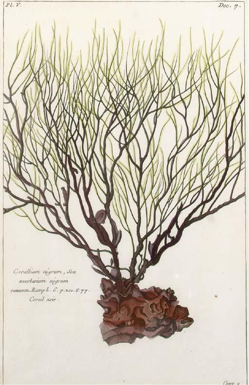 Pierre Bouchoz - Histoires universelle du reguevegetal: Ten Plates