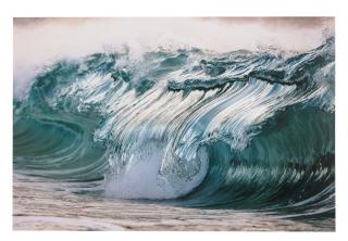 Pierre Carreau - #2209 - Number 4