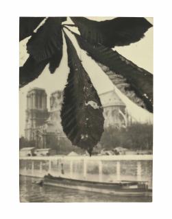 Pierre Dubreuil - Notre Dame De Paris, 1908