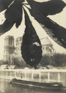 Pierre Dubreuil - Notre Dame De Paris