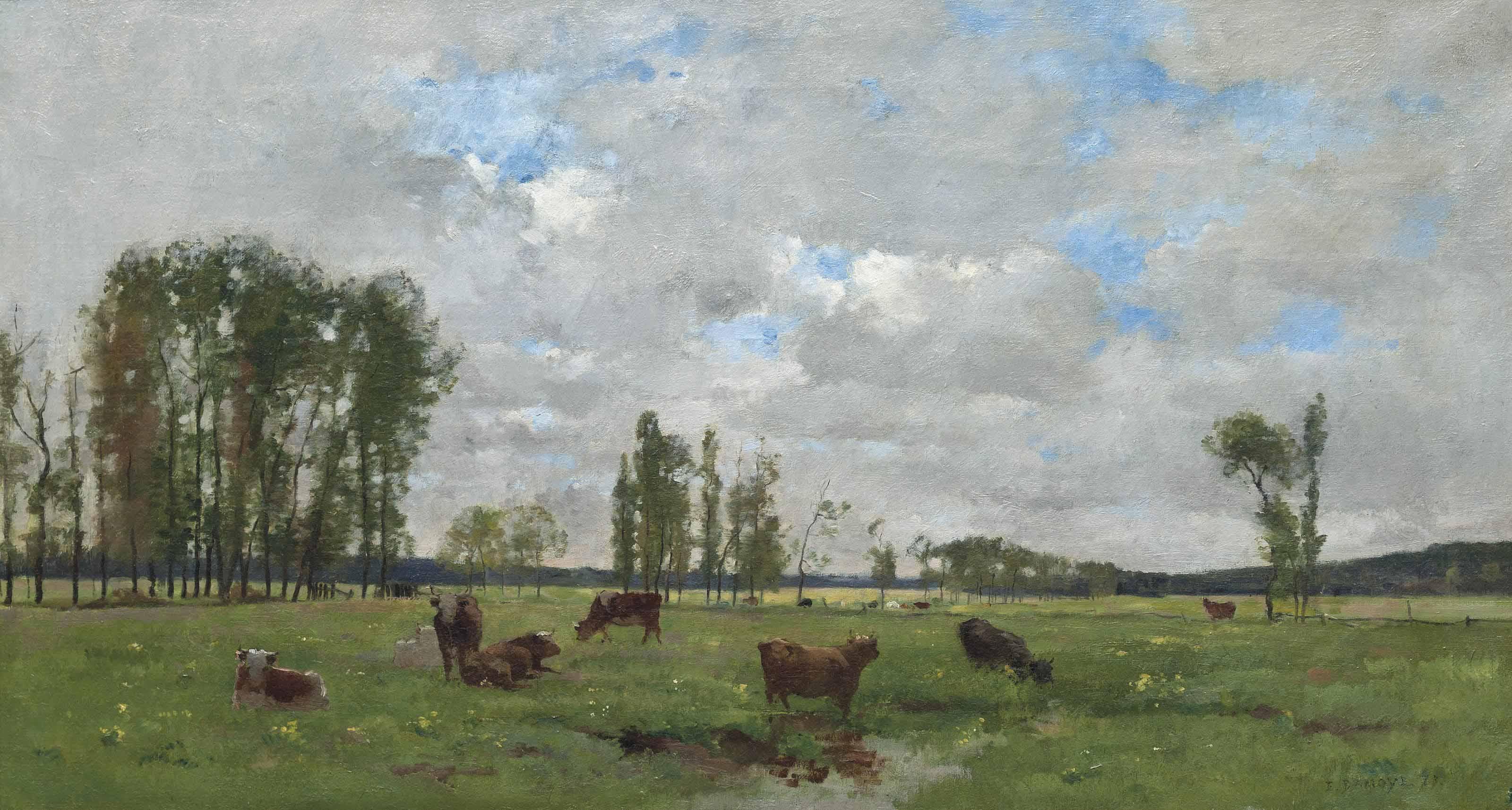 Pierre-Emmanuel Damoye - Cattle grazing
