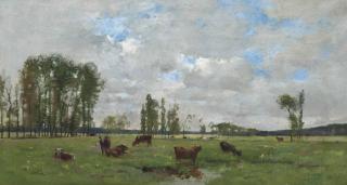 Pierre-Emmanuel Damoye - Cattle grazing